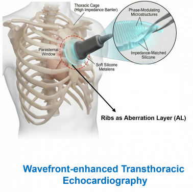 This AI-powered MetaLens can obtain complete, real-time, high-resolution images of the heart directly through the ribcage.